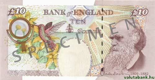 10 fontos címlet hátulja - Angol font bankjegy - GBP